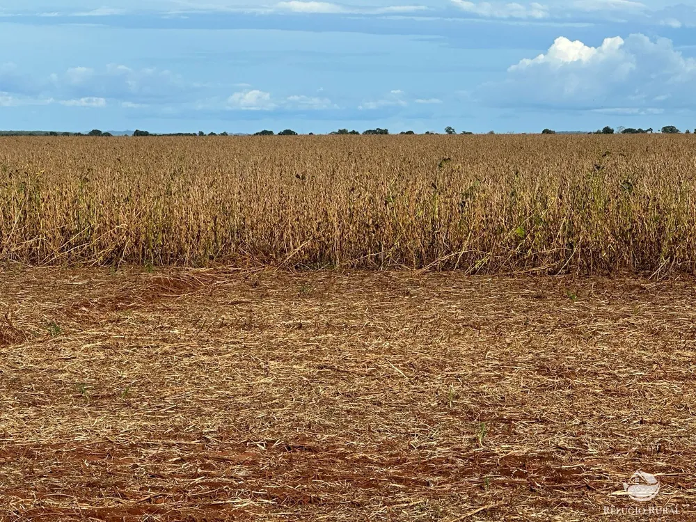 Fazenda, 1404 hectares - Foto 6