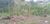 Terreno, 2 hectares - Foto 2