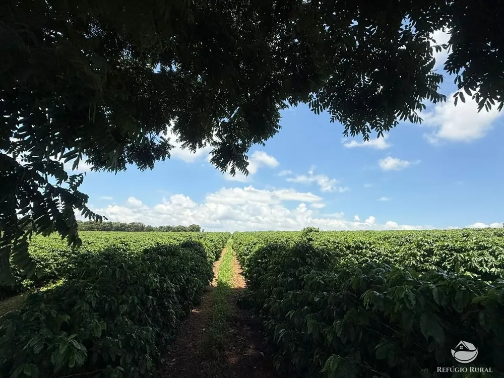 Fazenda, 640 hectares - Foto 1