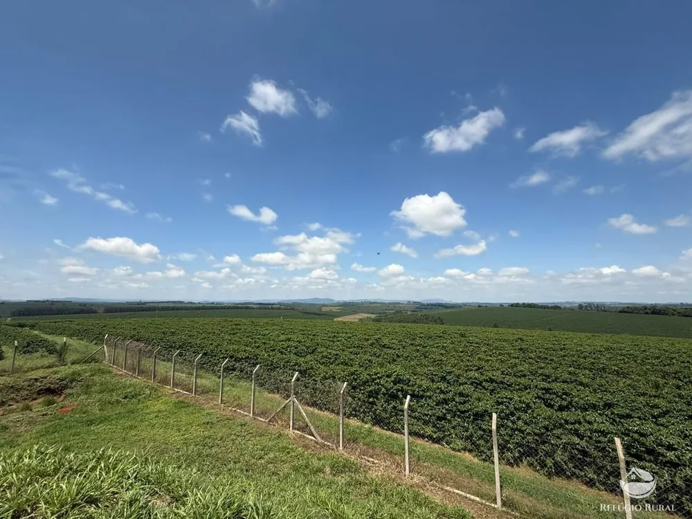 Fazenda, 640 hectares - Foto 16