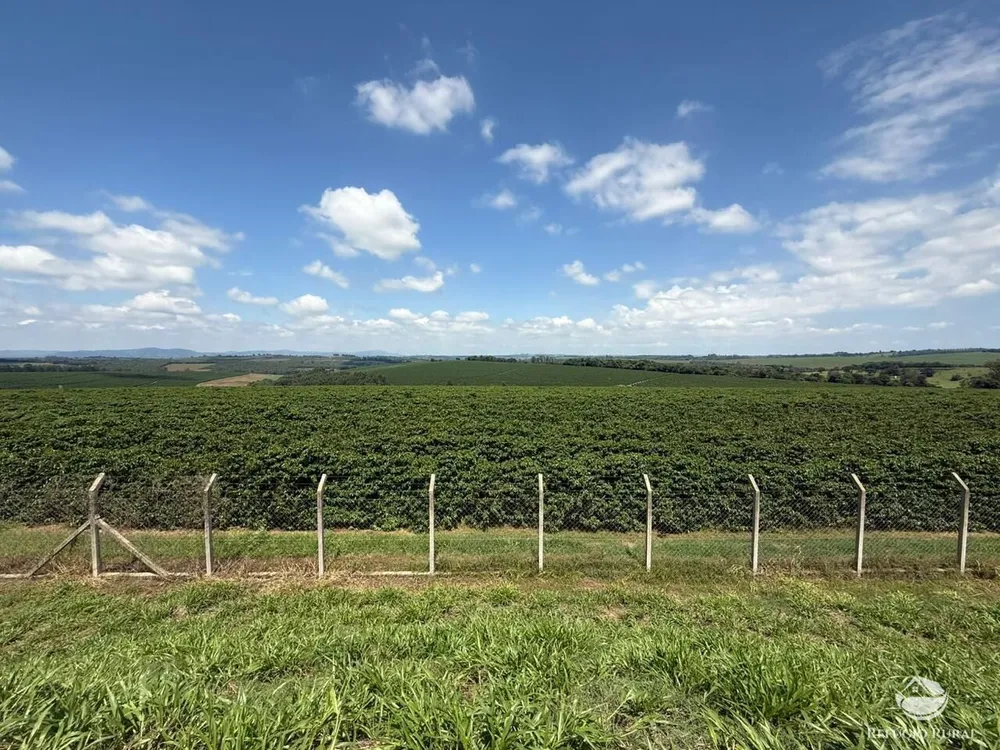 Fazenda, 640 hectares - Foto 12
