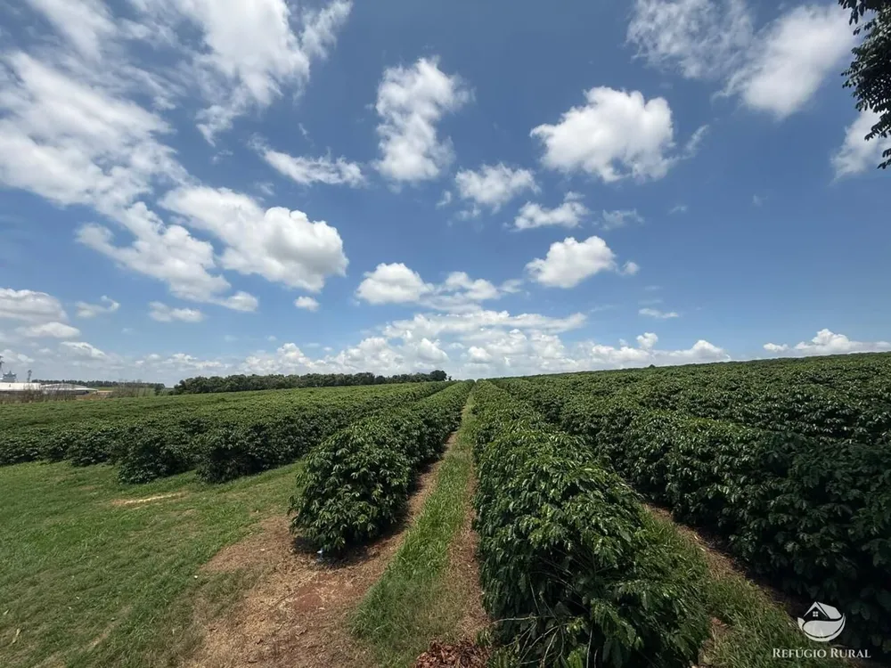 Fazenda, 640 hectares - Foto 2