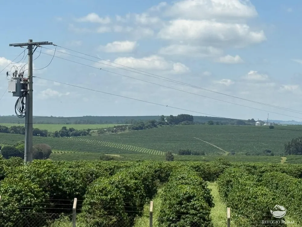 Fazenda, 640 hectares - Foto 13
