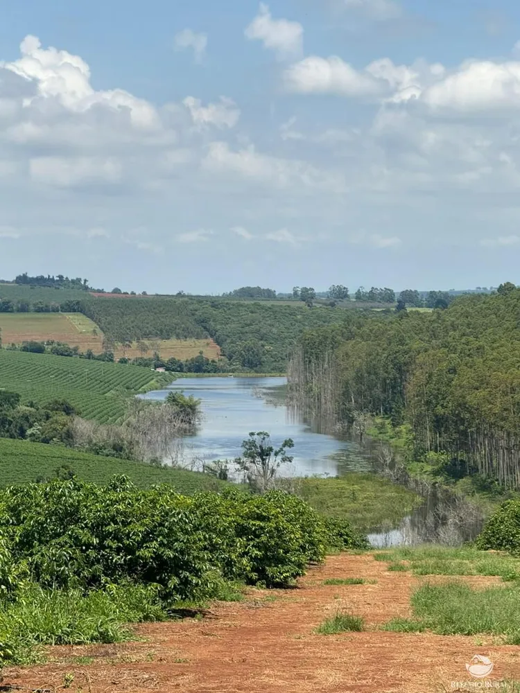 Fazenda, 640 hectares - Foto 3