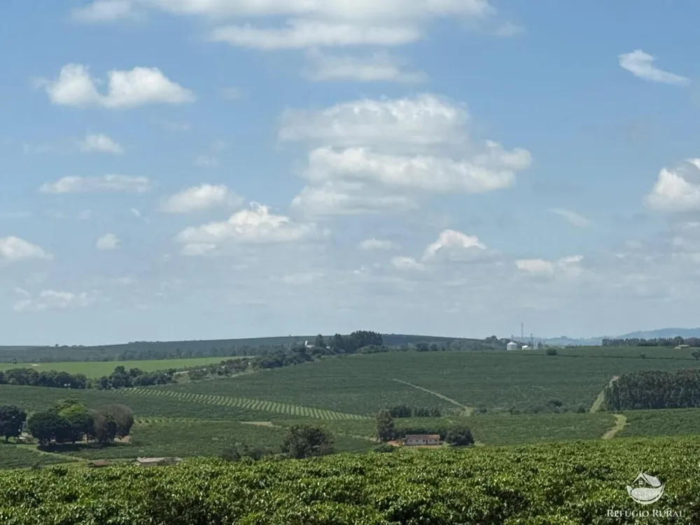 Fazenda, 640 hectares - Foto 4