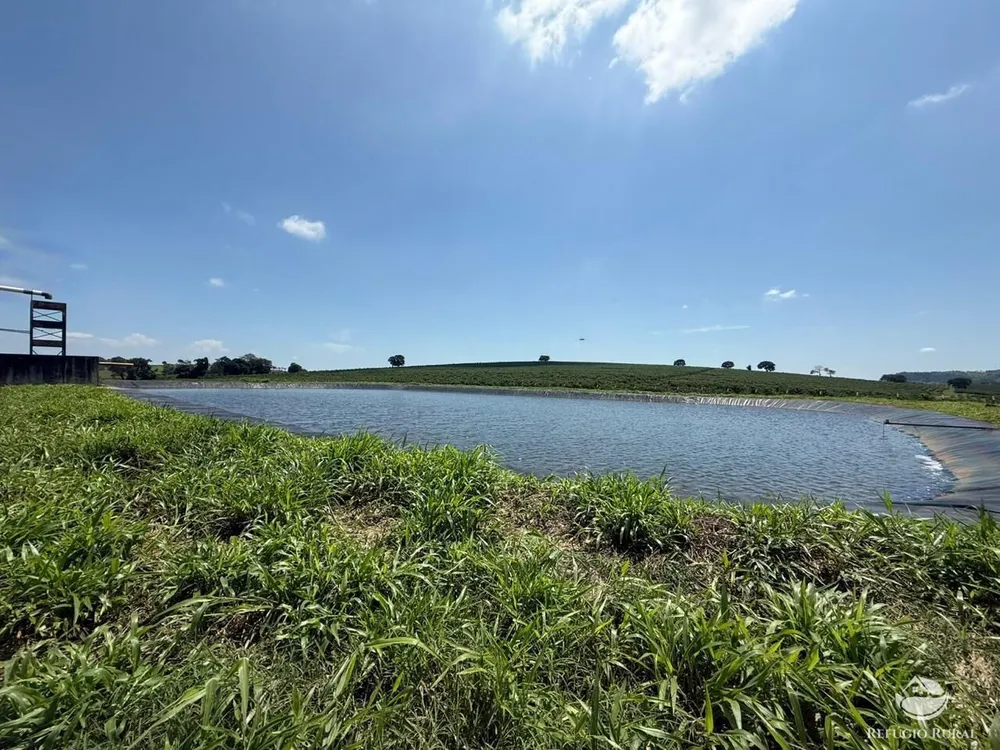Fazenda, 640 hectares - Foto 11