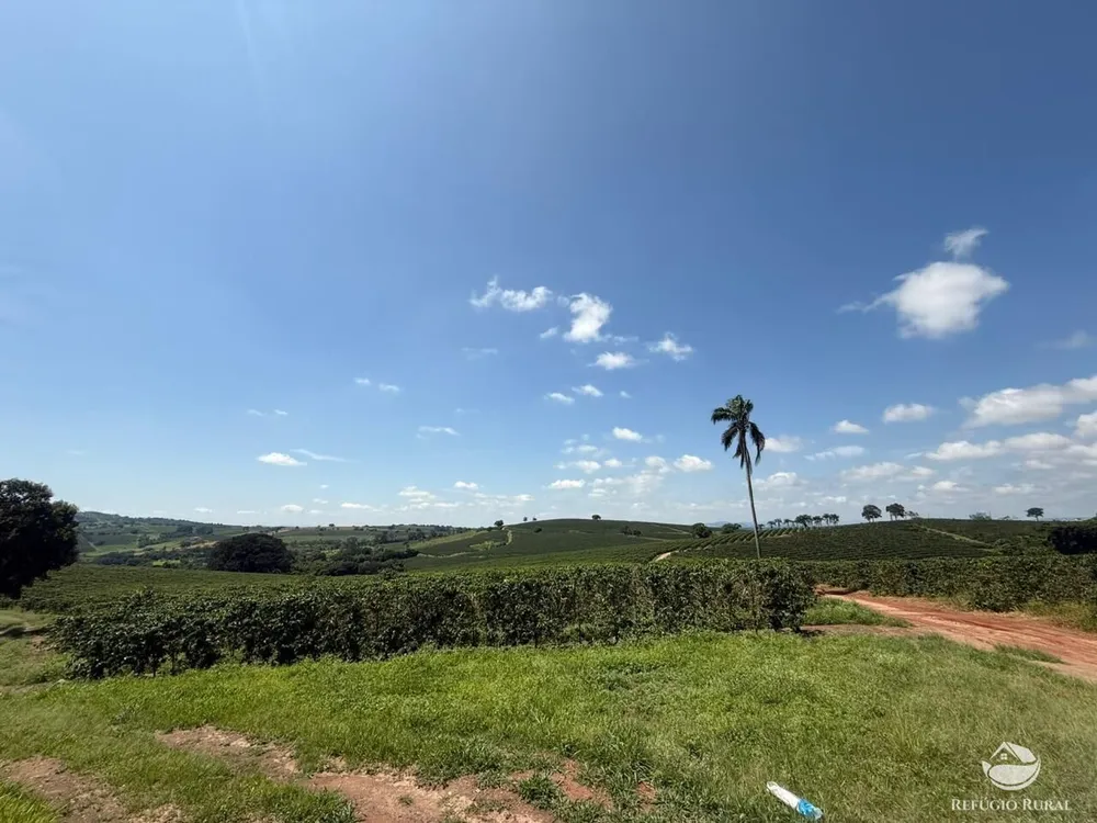 Fazenda, 640 hectares - Foto 15