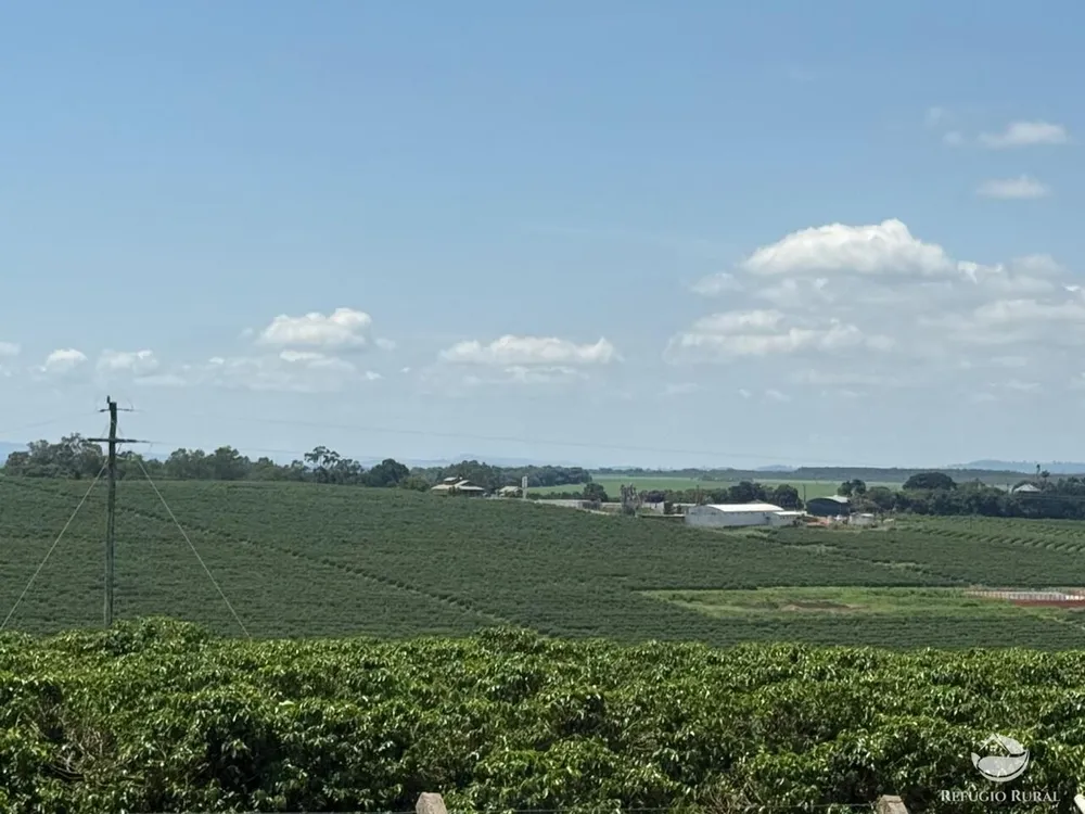 Fazenda, 640 hectares - Foto 7