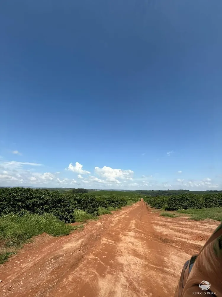 Fazenda, 640 hectares - Foto 9