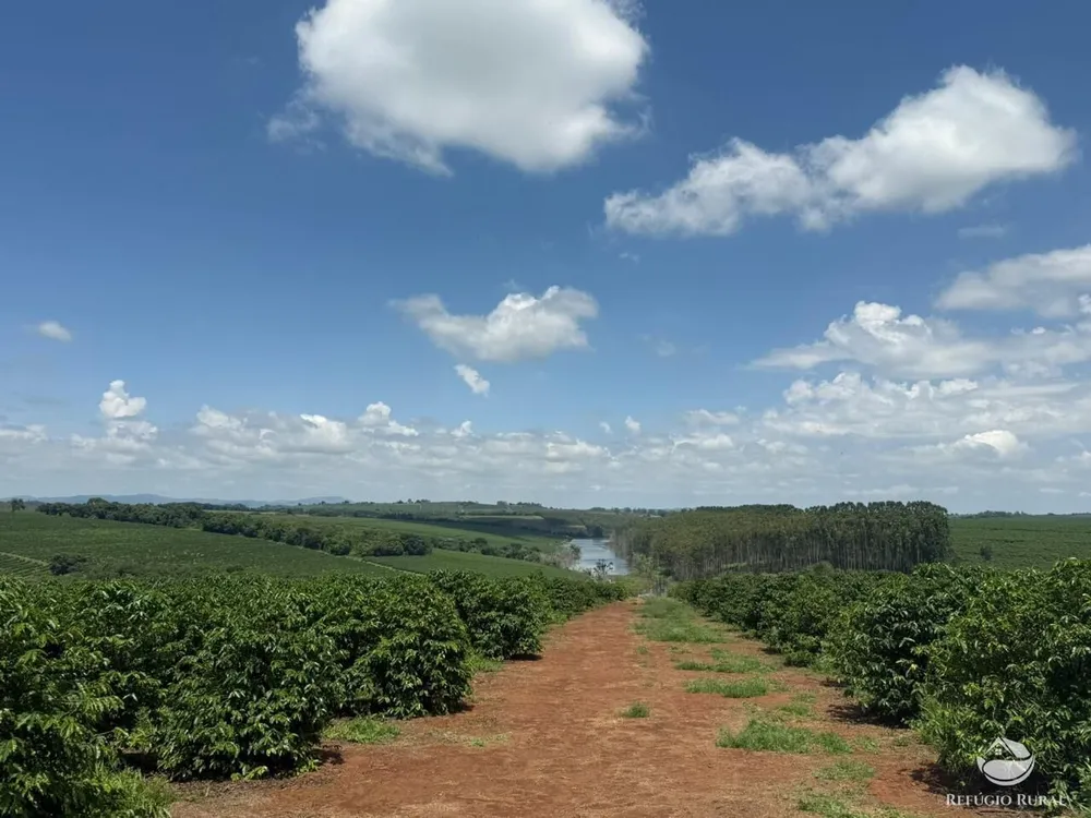 Fazenda, 640 hectares - Foto 6