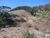 Terreno, 36 hectares - Foto 2
