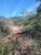 Terreno, 36 hectares - Foto 9