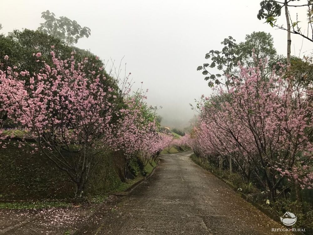 Hotel, 19 quartos, 670000 m² - Foto 18