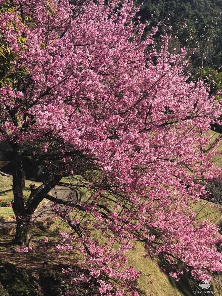 Hotel, 19 quartos, 670000 m² - Foto 15