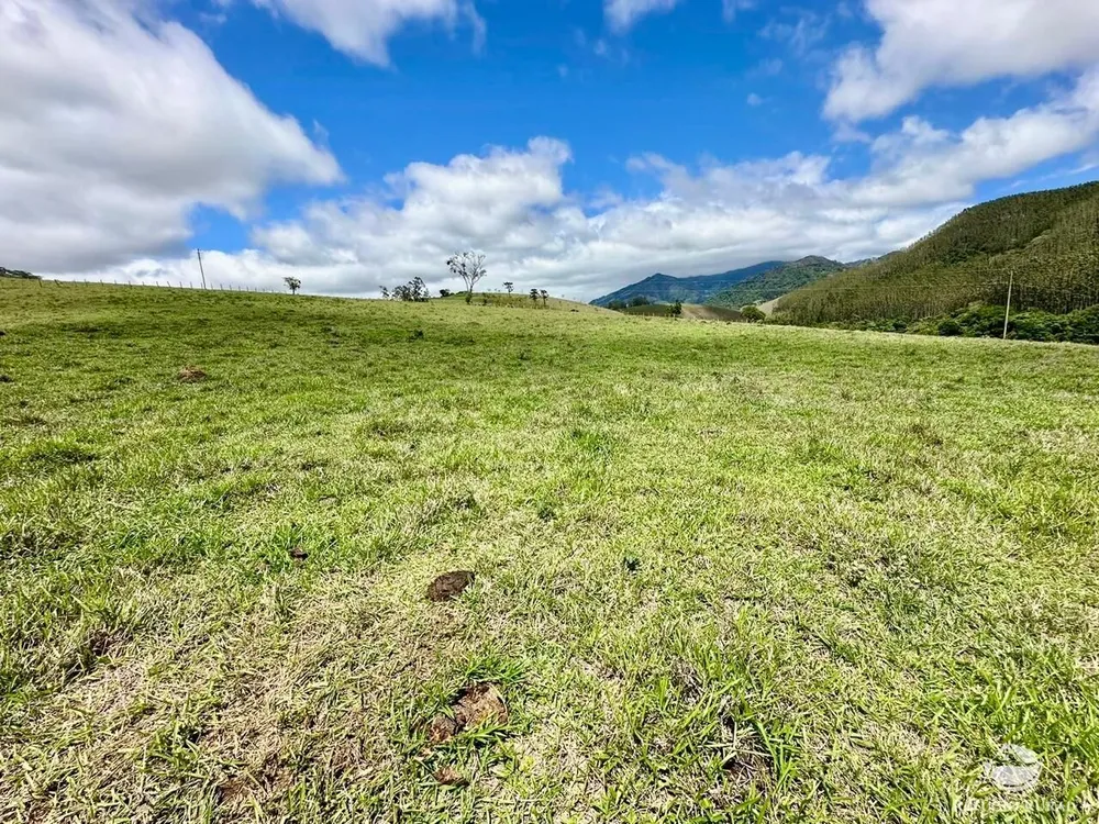Terreno, 12 hectares - Foto 12