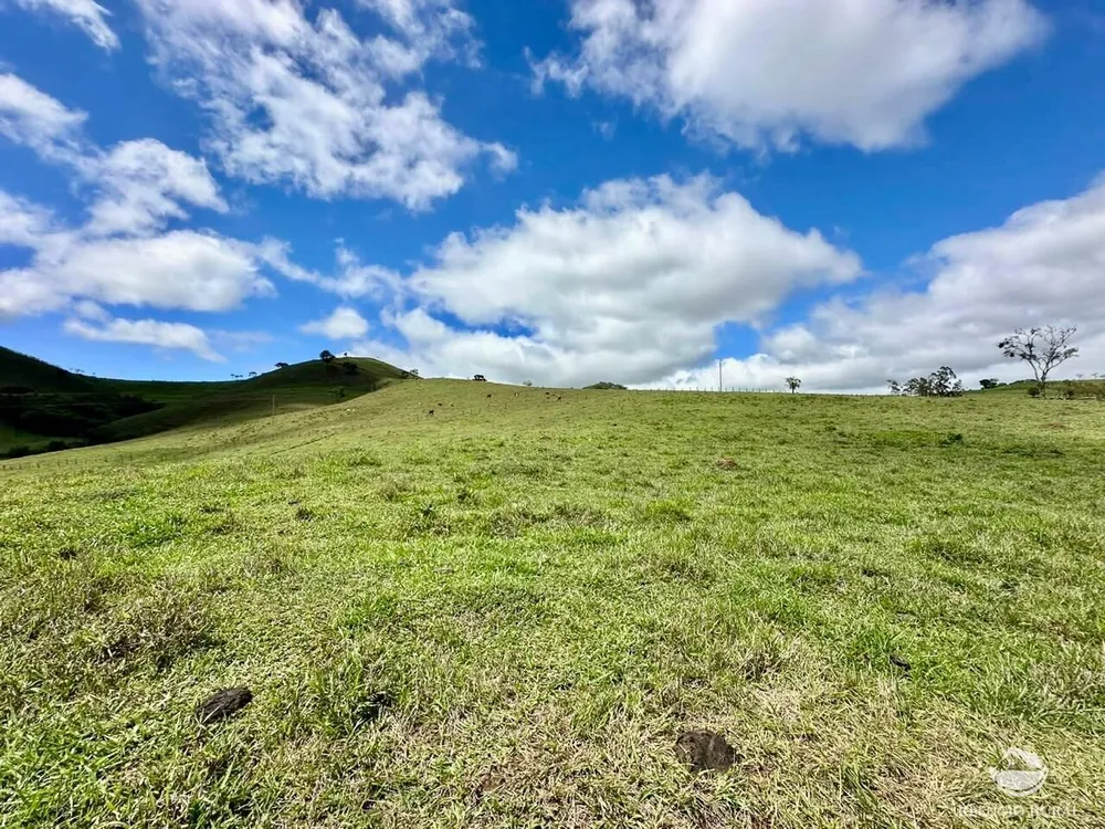Terreno, 12 hectares - Foto 8