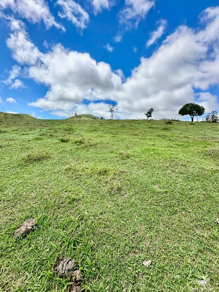 Terreno, 12 hectares - Foto 9