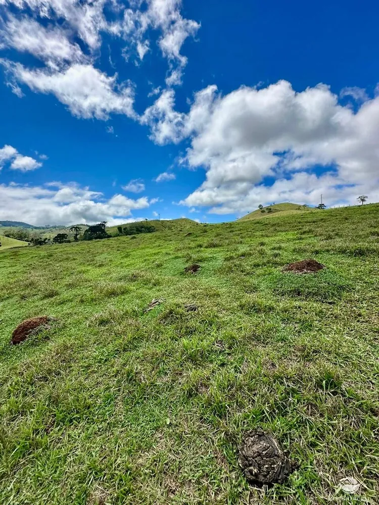 Terreno, 12 hectares - Foto 3