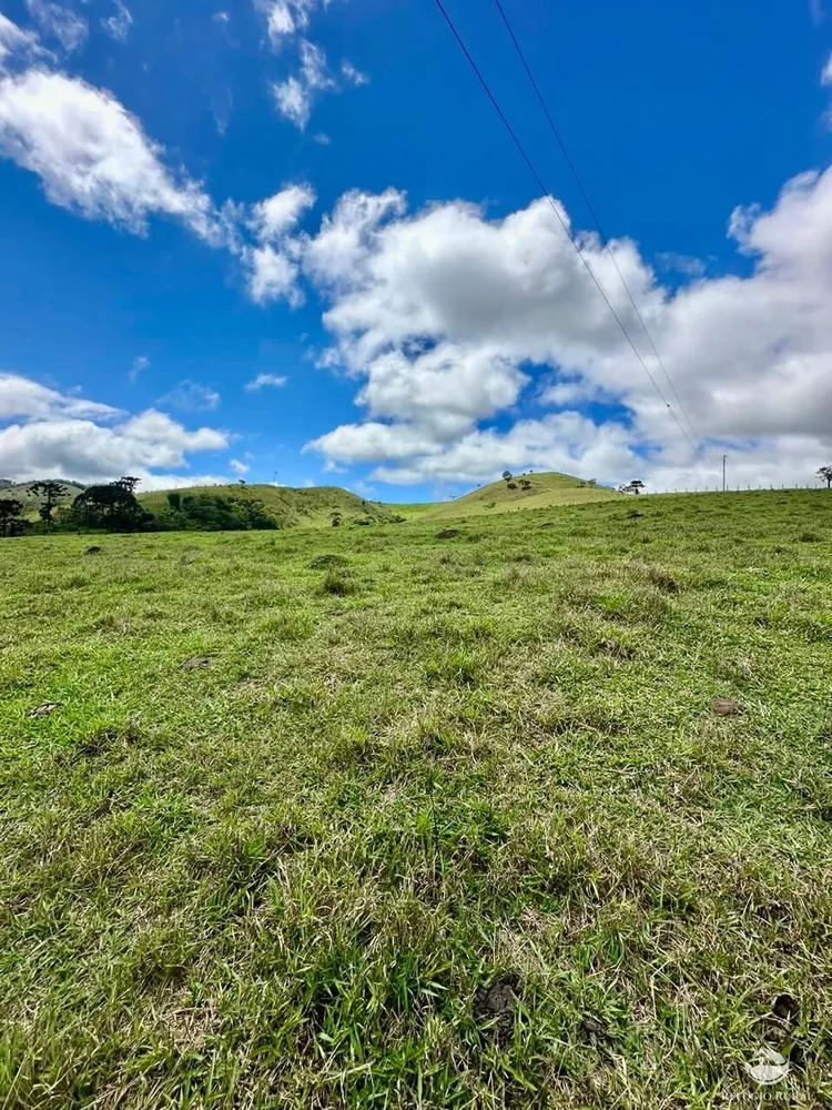 Terreno, 12 hectares - Foto 4