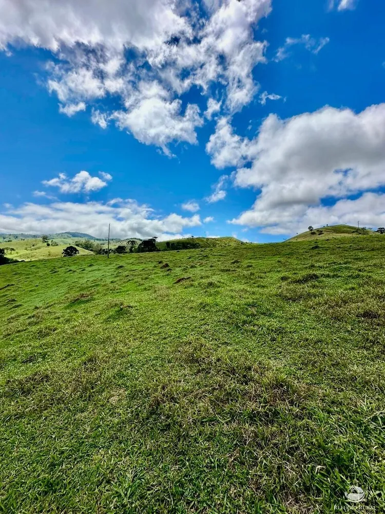 Terreno, 12 hectares - Foto 11