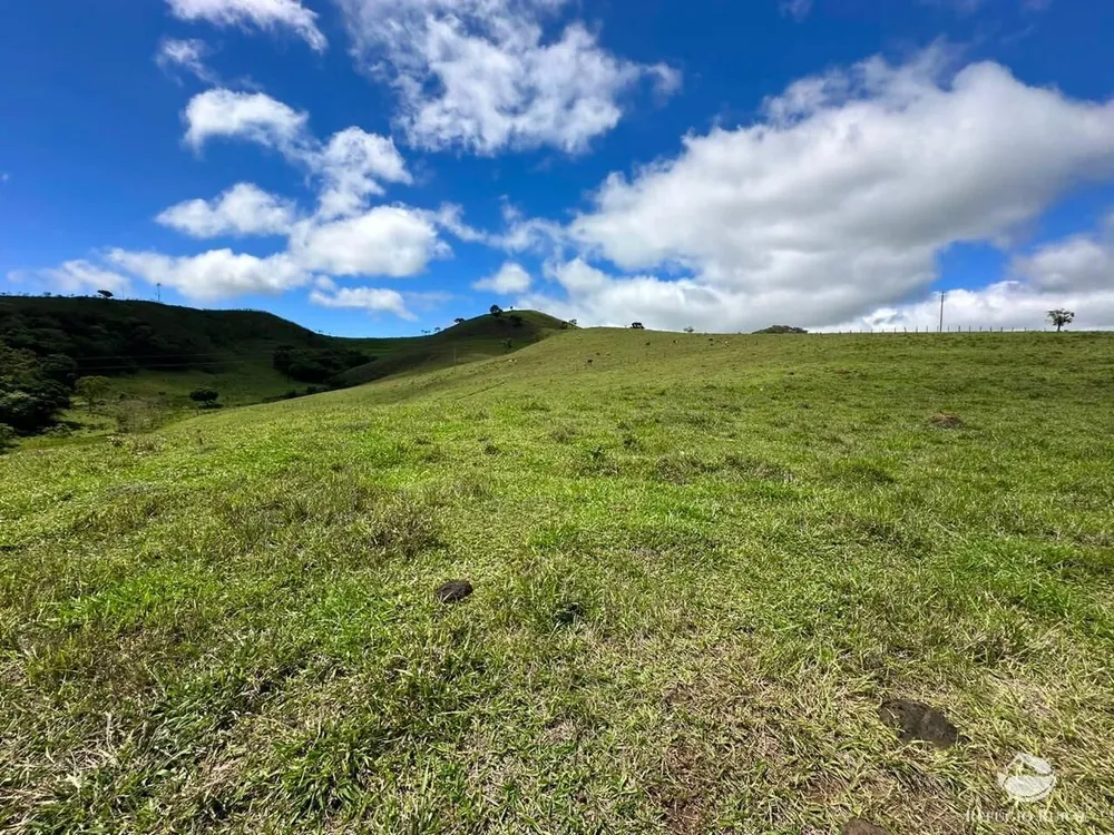 Terreno, 12 hectares - Foto 10