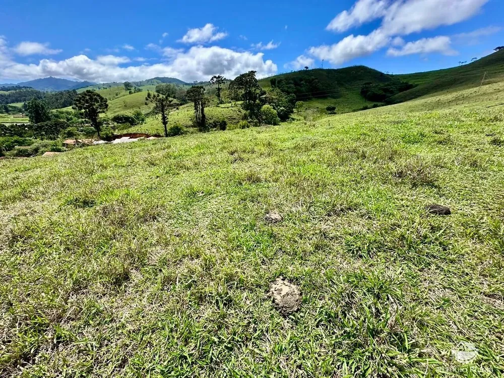 Terreno, 12 hectares - Foto 6