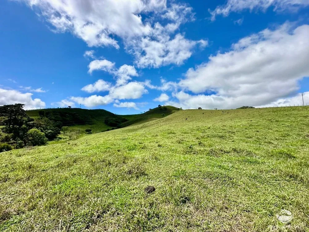 Terreno, 12 hectares - Foto 7