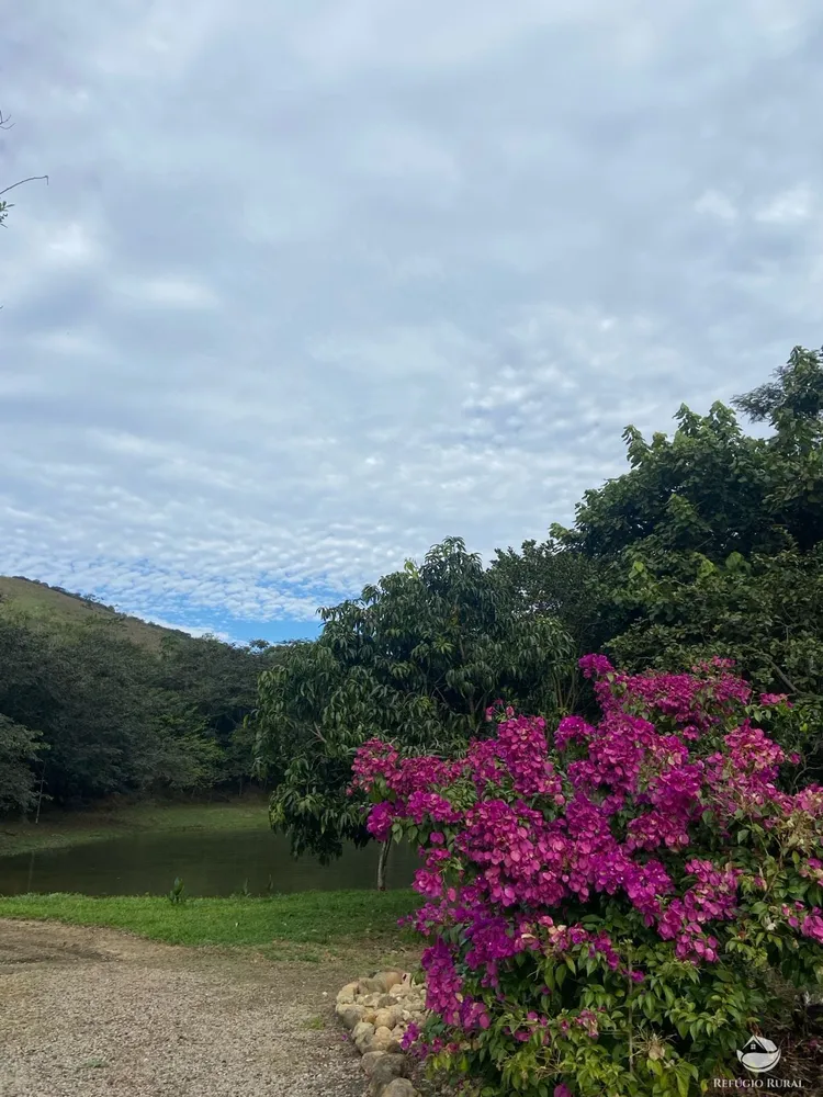 Chácara, 1 hectares - Foto 4