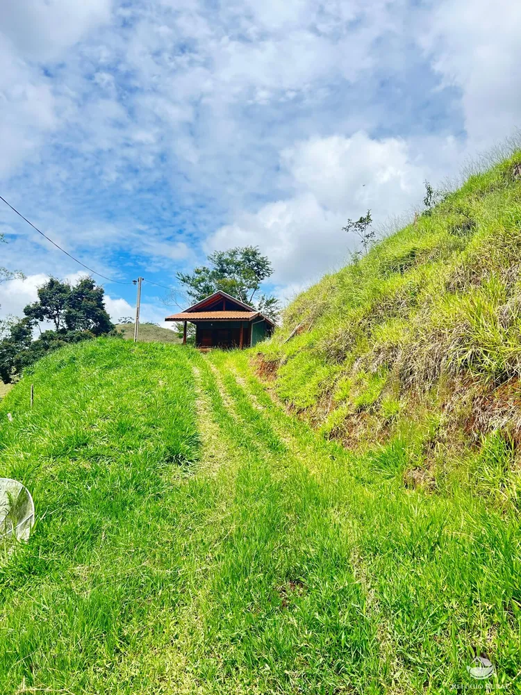 Sítio, 5 hectares - Foto 8