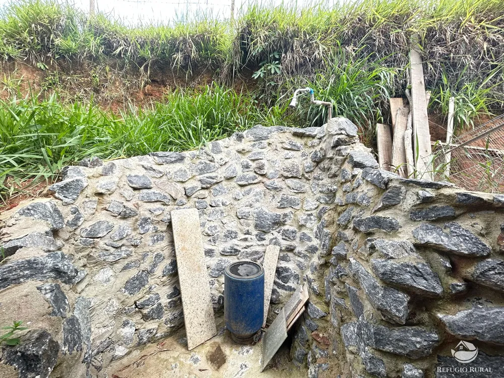 Sítio, 5 hectares - Foto 11