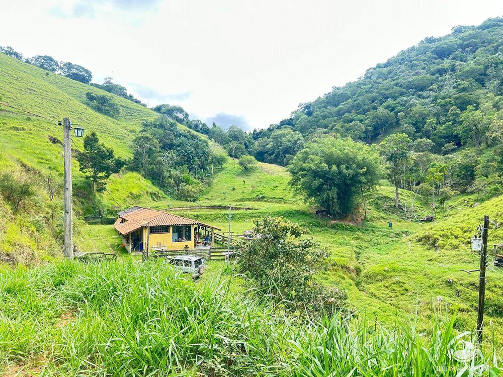 Sítio à venda com 3 quartos, 48400m² - Foto 1