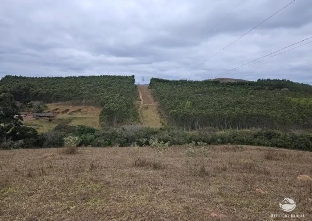 Fazenda, 226 hectares - Foto 4