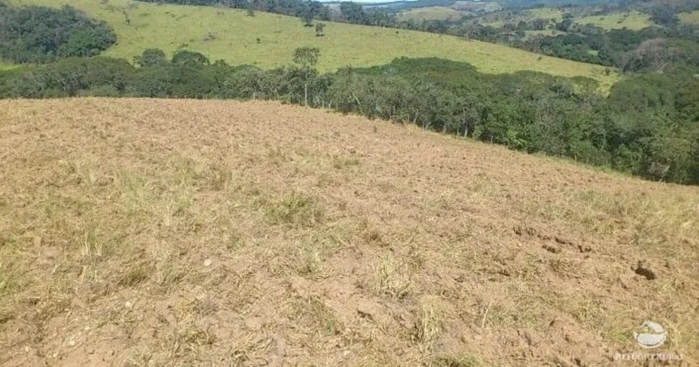 Fazenda, 226 hectares - Foto 2