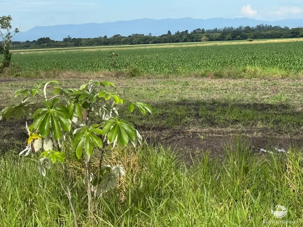 Fazenda, 259 hectares - Foto 4