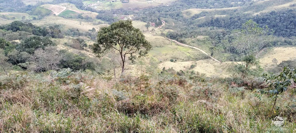 Terreno, 13 hectares - Foto 12