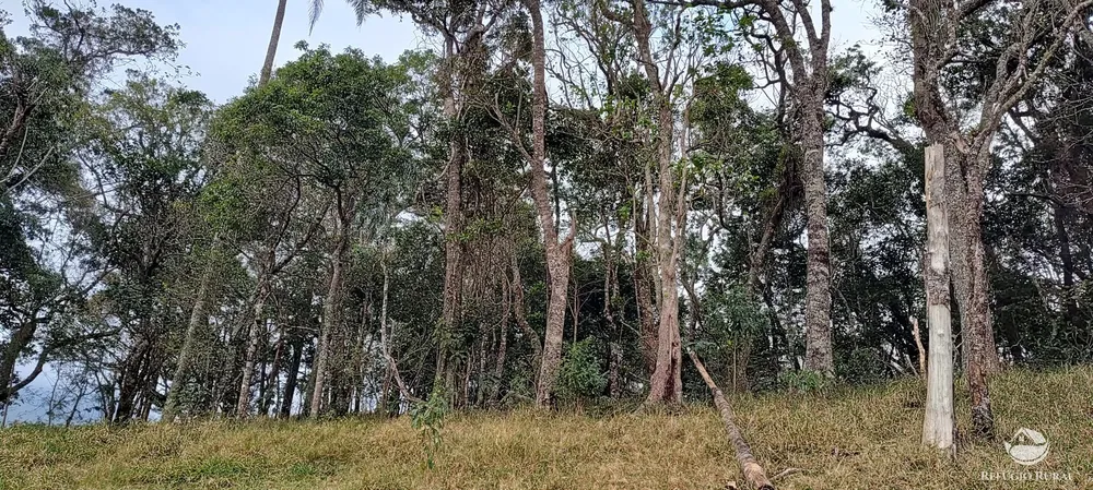 Terreno, 13 hectares - Foto 11