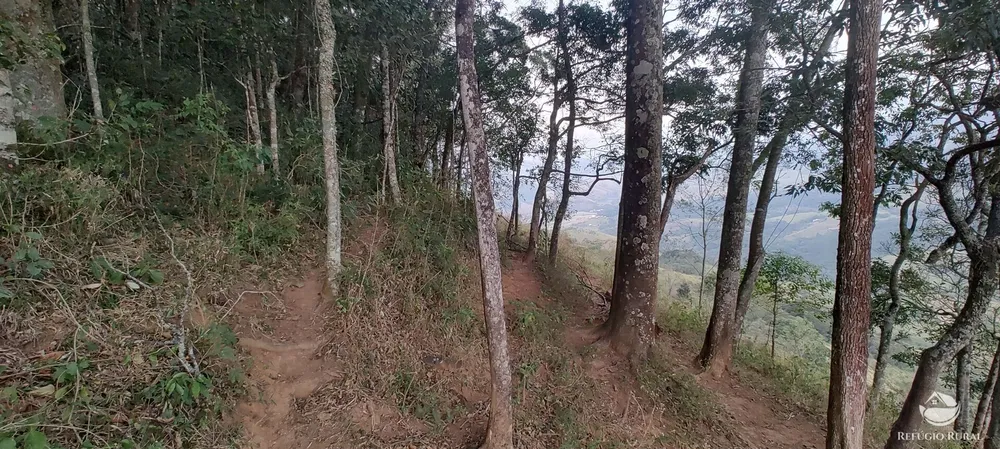 Terreno, 13 hectares - Foto 10