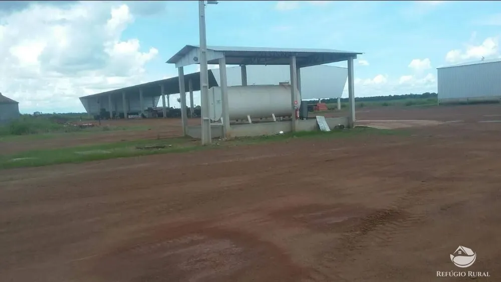 Fazenda, 39154 hectares - Foto 8
