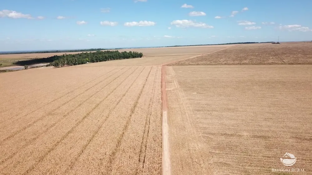Fazenda, 39154 hectares - Foto 14