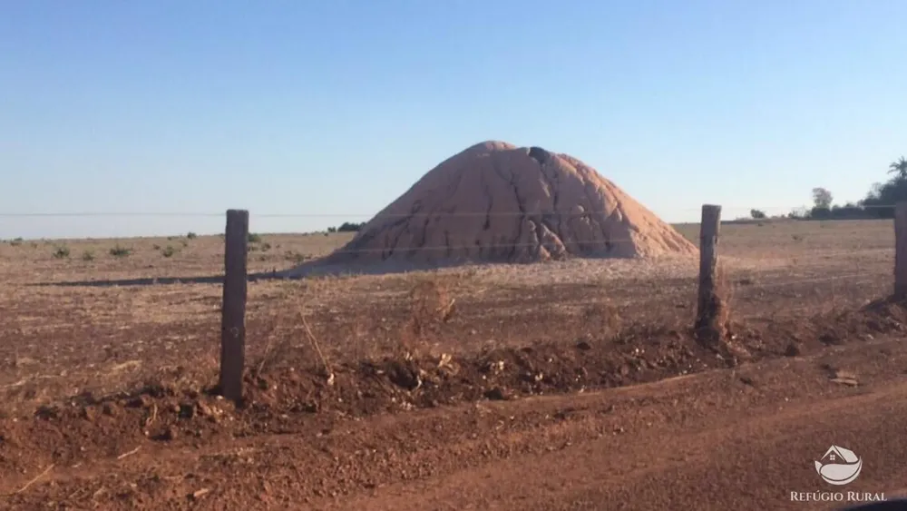 Fazenda, 39154 hectares - Foto 12