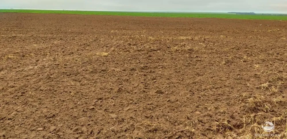 Fazenda, 39154 hectares - Foto 7