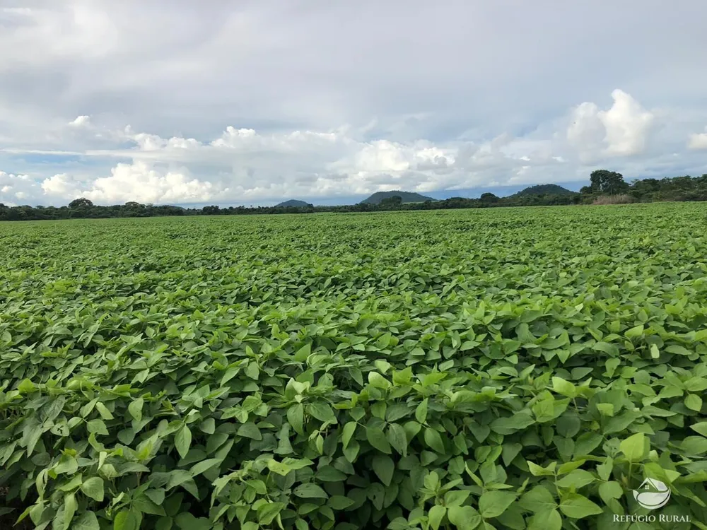 Fazenda, 39154 hectares - Foto 1