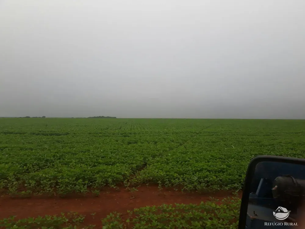 Fazenda, 39154 hectares - Foto 5