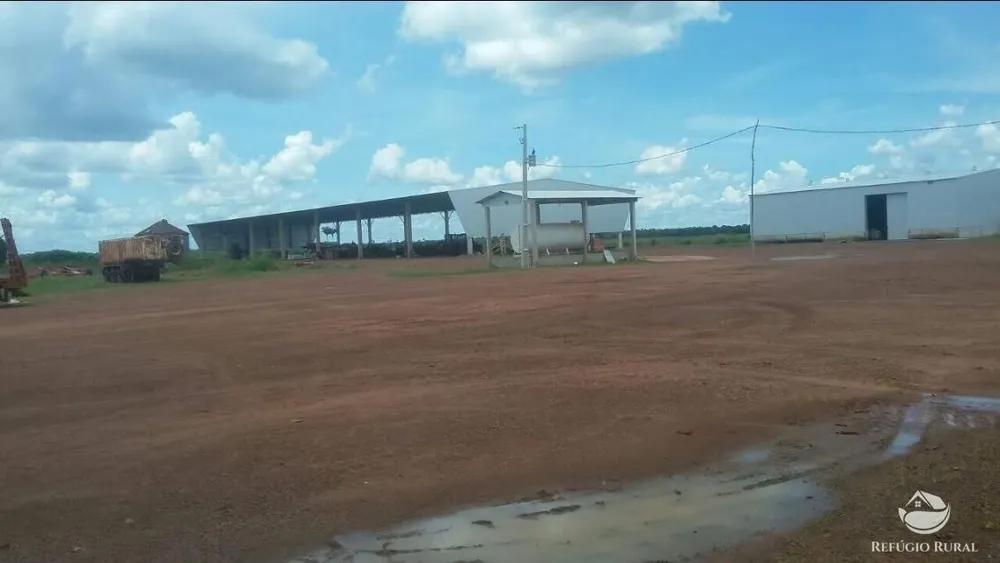 Fazenda, 39154 hectares - Foto 13