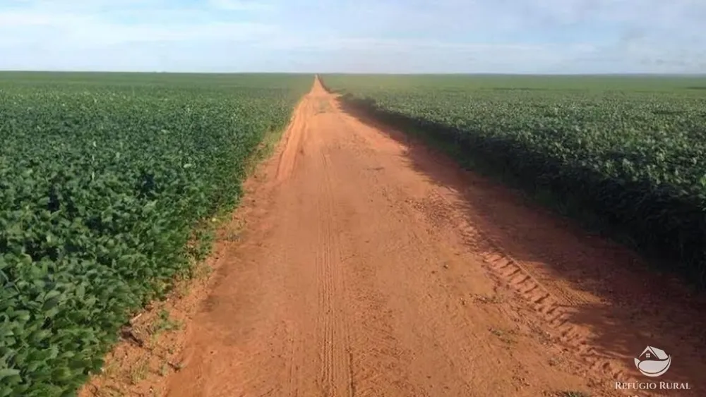 Fazenda, 39154 hectares - Foto 6
