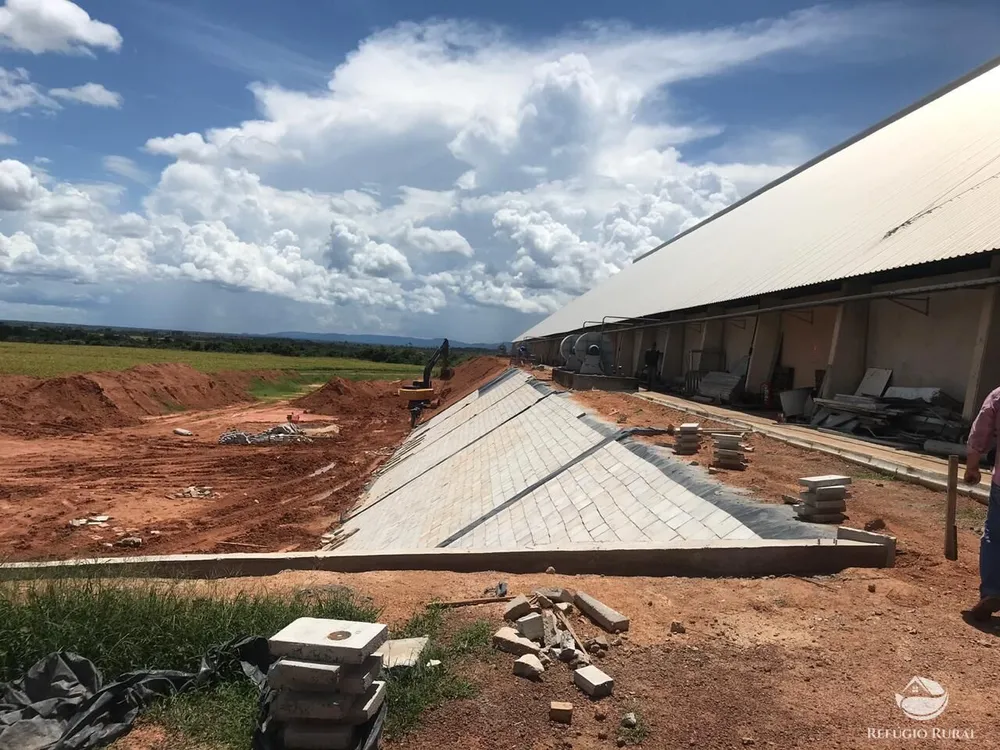 Fazenda, 39154 hectares - Foto 11