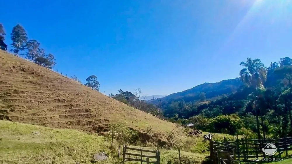 Terreno, 60 hectares - Foto 6