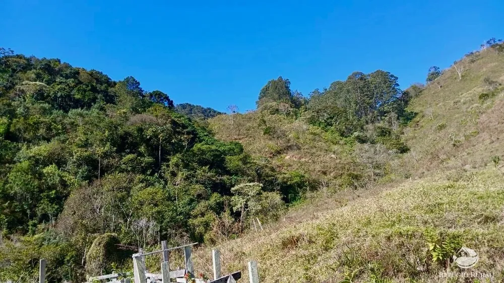 Terreno, 60 hectares - Foto 9