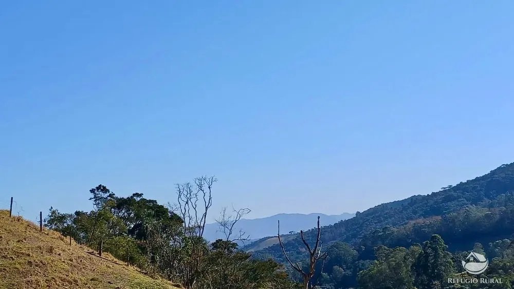 Terreno, 60 hectares - Foto 8