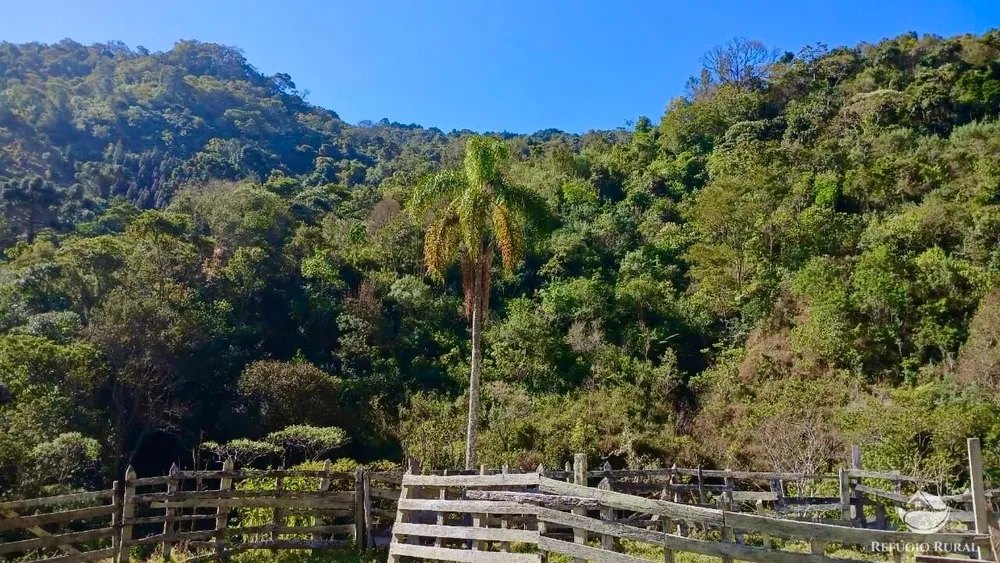 Terreno, 60 hectares - Foto 10